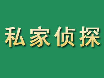 嘉陵市私家正规侦探