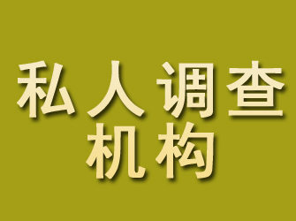 嘉陵私人调查机构